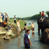 दक्षिण कोरियाबाट ल्याइएका गाई किसानलाई वितरण