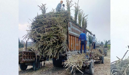 एनएचपीसीलाई पश्चिम सेतीको सर्वेक्षण अनुमति