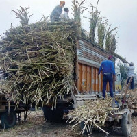 तलब नपाएपछि स्वास्थ्यकर्मी धर्नामा