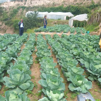 पालिकामा स्वास्थ्य शिविर : सेवाग्राहीको भिड