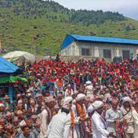 शुक्लाफाँटा निकुञ्जमा वयस्क पोथी हात्ती मृत फेला