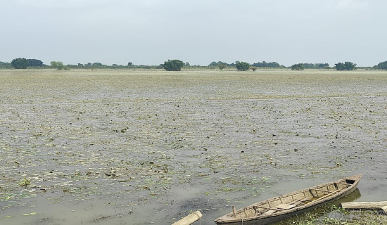 राप्ती नदीले सतर्कता तह पार गरेपछि तटीय क्षेत्रमा सूचना जारी