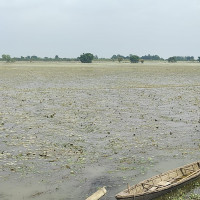 राप्तीमा फसेकामध्ये एक बेपत्ता, दुईको उद्धार