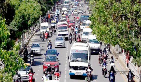 सन् २०२४ मा विश्वव्यापी खाद्यान्न उत्पादन उच्च स्तरमा