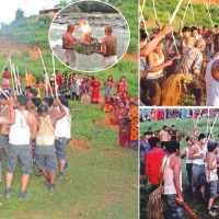 अखिल बलिपूर्ति आज, नवदुर्गाको प्रसाद र आशीर्वाद थाप्ने क्रम जारी