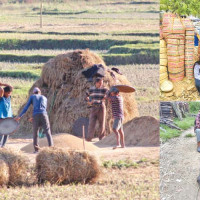 शक्तिपीठ मत्सरी दुर्गा मन्दिर