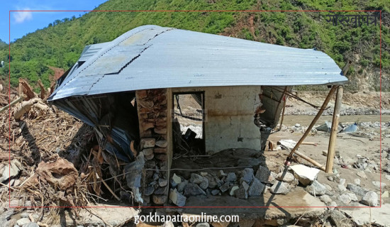 निर्जीवन बीमा कम्पनीले आर्जन गरे एघार अर्ब शुल्क