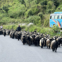 सेती किनारका पाँच घर विस्थापित