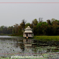 सबै दललाई बागीको पिरलो