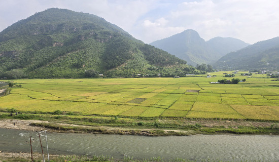 विपत् व्यवस्थापनमा स्थानीय सरकार