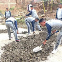 चार वटा गाईको जीवितै उद्धार