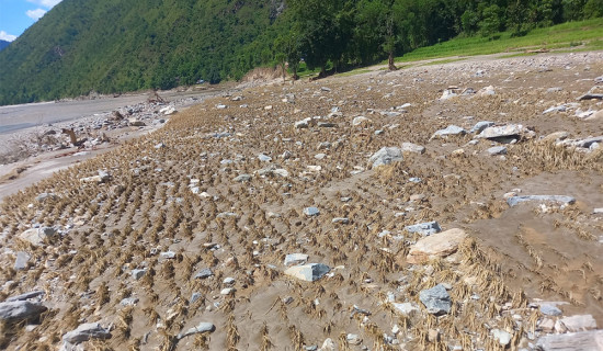 लगानी सहजीकरणसम्बन्धी संशोधन विधेयक स्वीकृत