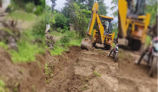 खोटाङमा ५० प्रतिशत मात्रै रोपाइँ