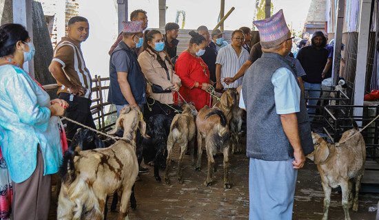 भारतीय विद्यालय धाउँदै सीमा क्षेत्रका विद्यार्थी