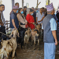 सप्तकोशीमा ‘जेटबोट’ पुनः सञ्चालनमा