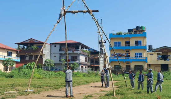 रोटेपिङको रौनक