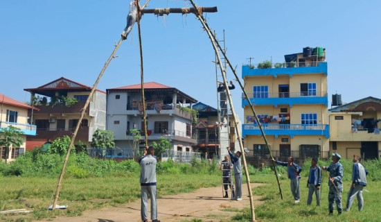 दसैंमा रमाइलो गर्न पिङको जोहो