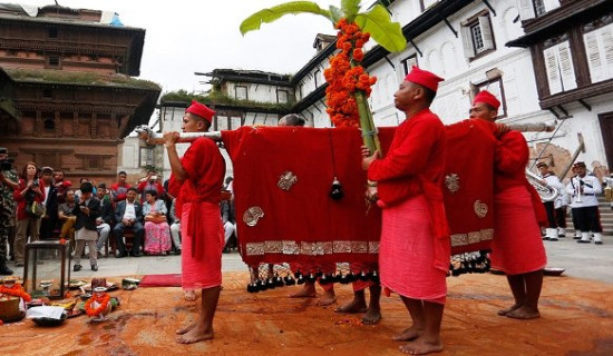 हनुमानढोकामा फूलपाती भित्र्याइँदै