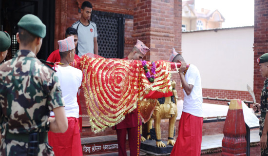 दशैँघरमा भित्र्याइयो फूलपाती