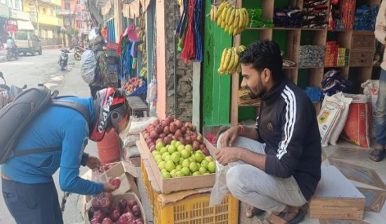 दसैँलाई कोसेली मुस्ताङी स्याउ