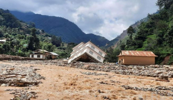 अधिक मानवीय तथा संरचनामा क्षति