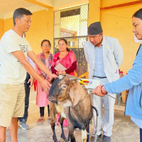 निजगढ विमानस्थलबारे  विज्ञ समूह गठनको तयारी