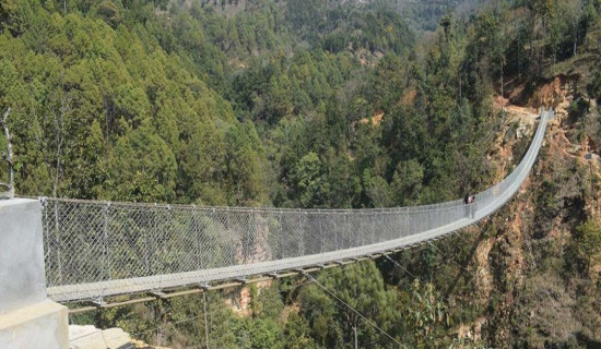 झोलुङ्गे पुलबाट हाम्फालेर एकको मृत्यु