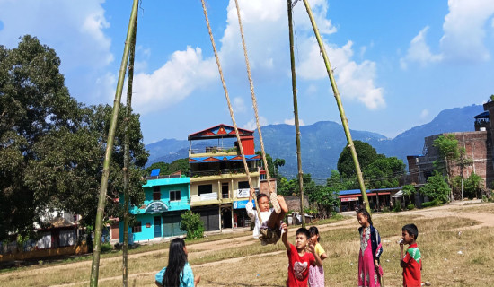 सरकारी लगानीका संरचना सञ्चालनमा समस्याः मुख्यमन्त्री शाह