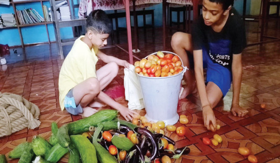 दसैँ बिदामा आफूले उत्पादन गरेको तरकारी बेच्दै विद्यार्थी