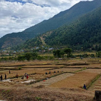 तालवाराही मन्दिर पुनर्निर्माण