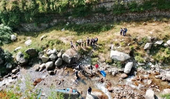 सरकारले सभापतिलाई धरपकड गर्‍यो : प्रमुख सचेतक परियार