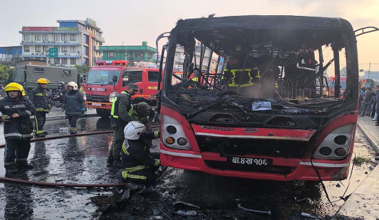 ट्रक दुर्घटनामा चालकको मृत्यु