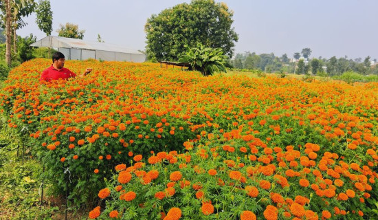 इजरायली प्रधानमन्त्री नेतन्याहूको निवासलाई निशाना बनाइ ड्रोन हमला