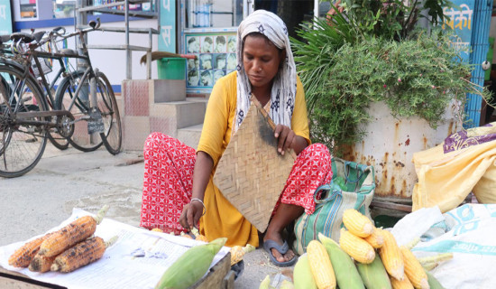 मकै बेचेर जीवन निर्वाह