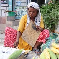 दसैँघरमा फूलपाती भित्र्याइयो