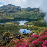 सुन्तला प्रवर्द्धनका लागि डोको उपहार