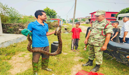 सर्प समात्दै, जनचेतना फैलाउँदै लक्ष्मण