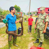 हवाई सुरक्षाबारे अध्ययन सुझाव समिति गठन