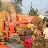 अखाद्य वस्तु बेच्नेलाई कारबाही