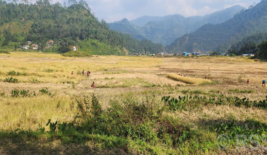 विद्युतीय स्कुटर निर्माणमा नास्टको सफलता, एकपटक चार्ज गर्दा ५० किलोमिटरको यात्रा