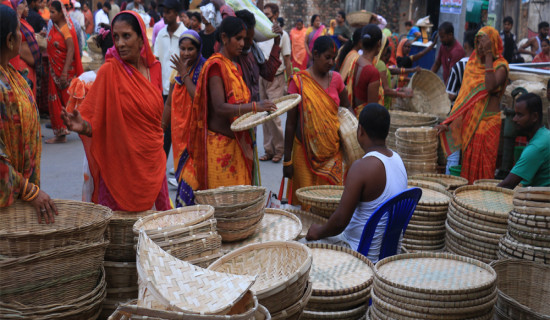 लागूऔषधमा १४१ जना पक्राउ