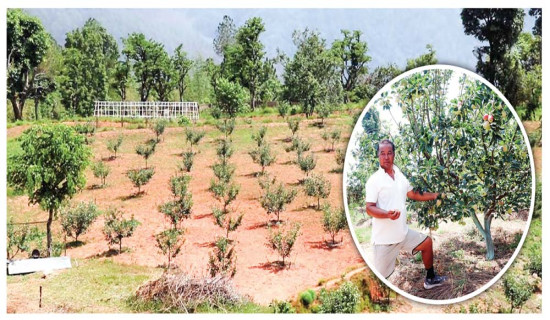 कर्णाली र सुदूरपश्चिम प्रदेशका १३ जिल्लामा मतपत्र ढुवानी