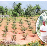 विमानस्थलमा बरामद सुन टक्सार कार्यालयमा जोखिँदै