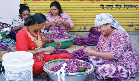 तिहारलाई पैंतालिस लाख माला, साठी प्रतिशत स्वदेशकै