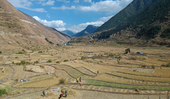 मार्सी भित्र्याउन जुटे किसान