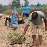 खोलाले बगाउँदा एक जना युवक बेपत्ता