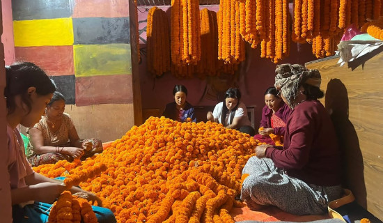 तिहार लक्षित सयपत्री फूलको माला तयार गरिदै