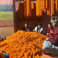 विचाराधीन विधेयक टुङ्ग्याउन सभामुखको पहल