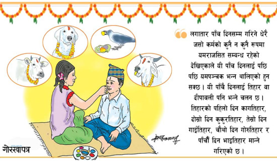 प्लास्टिकको घाँस  (कविता)