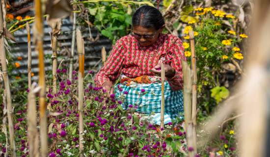 शक्तिपीठ मैतीदेवीमा दर्शनार्थीको भिड (फोटो फिचर)